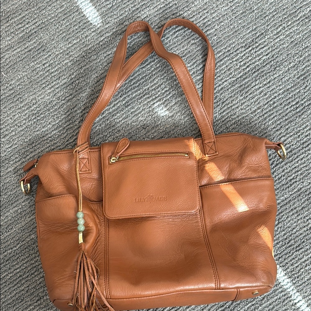 Lily Jade Madeline Tote- convertible to backpack with removable liner